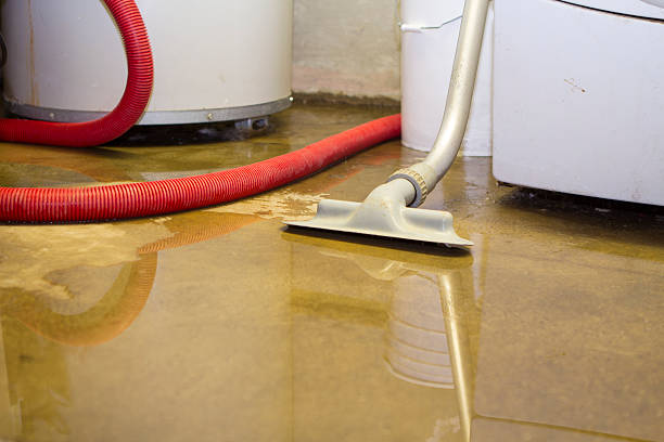 Best Water damage restoration near me  in USA